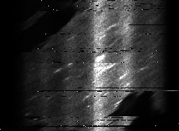 ascat_grayscale_ch4.png